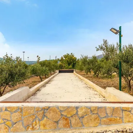 Olea Gustirna